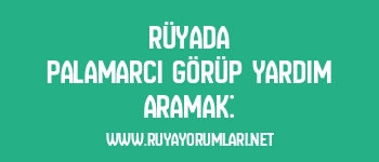 Rüyada Palamarcı Görüp Yardım Aramak: