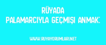Rüyada Palamarcıyla Geçmişi Anmak: