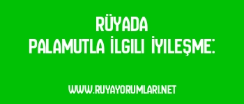 Rüyada Palamutla İlgili İyileşme: