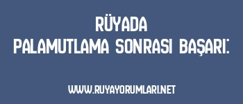 Rüyada Palamutlama Sonrası Başarı: