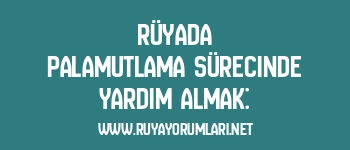 Rüyada Palamutlama Sürecinde Yardım Almak: