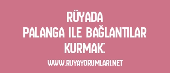 Rüyada Palanga ile Bağlantılar Kurmak: