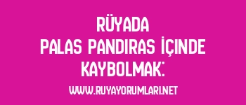 Rüyada Palas Pandıras İçinde Kaybolmak: