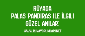 Rüyada Palas Pandıras ile İlgili Güzel Anılar: