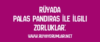 Rüyada Palas Pandıras İle İlgili Zorluklar: