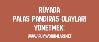 Rüyada Palas Pandıras Olayları Yönetmek: