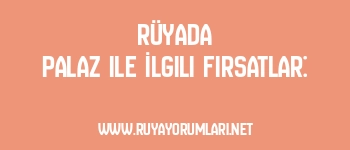 Rüyada Palaz ile İlgili Fırsatlar: