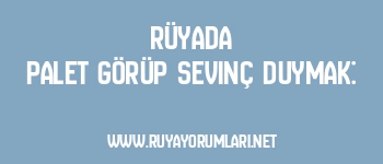 Rüyada Palet Görüp Sevinç Duymak: