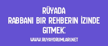 Rüyada Rabbani Bir Rehberin İzinde Gitmek: