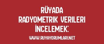 Rüyada Radyometrik Verileri İncelemek: