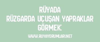 Rüyada Rüzgarda Uçuşan Yapraklar Görmek: