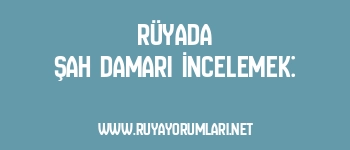 Rüyada Şah Damarı İncelemek: