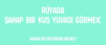 Rüyada Şahap Bir Kuş Yuvası Görmek: