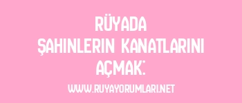 Rüyada Şahinlerin Kanatlarını Açmak: