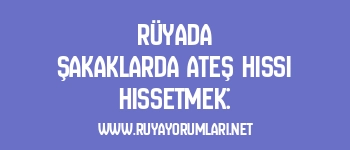 Rüyada Şakaklarda Ateş Hissi Hissetmek: