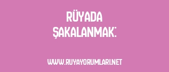 Rüyada Şakalanmak:
