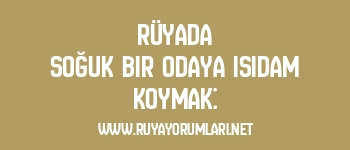 Rüyada Soğuk Bir Odaya Isıdam Koymak: