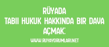 Rüyada Tabii Hukuk Hakkında Bir Dava Açmak: