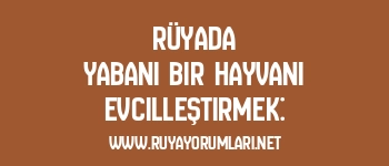 Rüyada Yabani Bir Hayvanı Evcilleştirmek: