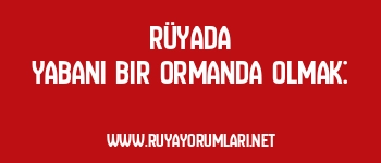 Rüyada Yabani Bir Ormanda Olmak: