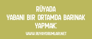 Rüyada Yabani Bir Ortamda Barınak Yapmak: