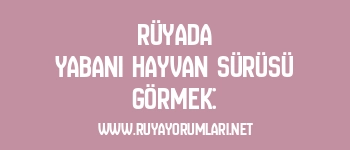 Rüyada Yabani Hayvan Sürüsü Görmek:
