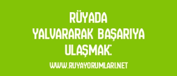 Rüyada Yalvararak Başarıya Ulaşmak:
