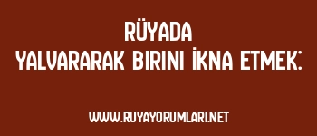 Rüyada Yalvararak Birini İkna Etmek: