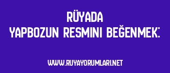Rüyada Yapbozun Resmini Beğenmek: