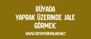 Rüyada Yaprak Üzerinde Jale Görmek: