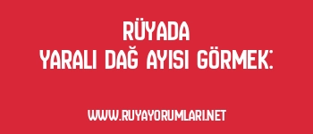Rüyada Yaralı Dağ Ayısı Görmek: