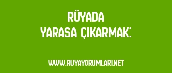 Rüyada Yarasa Çıkarmak: