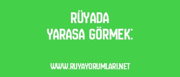 Rüyada Yarasa Görmek: