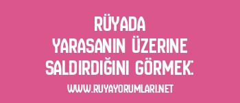Rüyada Yarasanın Üzerine Saldırdığını Görmek: