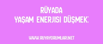 Rüyada Yaşam Enerjisi Düşmek: