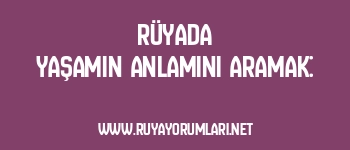 Rüyada Yaşamın Anlamını Aramak: