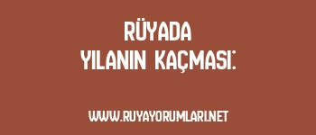 Rüyada Yılanın Kaçması: