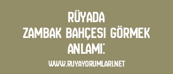 Rüyada Zambak Bahçesi Görmek Anlamı: