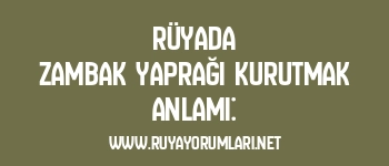 Rüyada Zambak Yaprağı Kurutmak Anlamı: