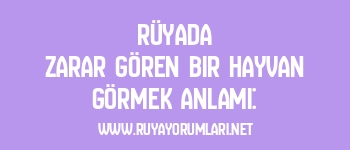 Rüyada Zarar Gören Bir Hayvan Görmek Anlamı: