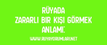 Rüyada Zararlı Bir Kişi Görmek Anlamı: