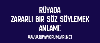 Rüyada Zararlı Bir Söz Söylemek Anlamı: