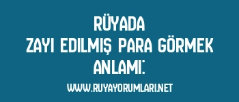 Rüyada Zayi Edilmiş Para Görmek Anlamı: