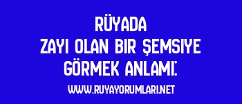 Rüyada Zayi Olan Bir Şemsiye Görmek Anlamı: