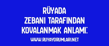 Rüyada Zebani Tarafından Kovalanmak Anlamı: