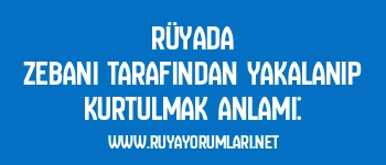 Rüyada Zebani Tarafından Yakalanıp Kurtulmak Anlamı: