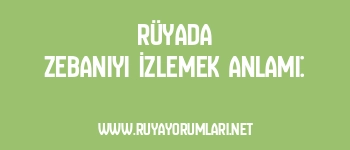 Rüyada Zebaniyi İzlemek Anlamı: