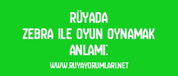 Rüyada Zebra ile Oyun Oynamak Anlamı: