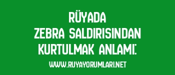 Rüyada Zebra Saldırısından Kurtulmak Anlamı: