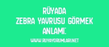Rüyada Zebra Yavrusu Görmek Anlamı: